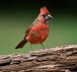 Waxhaw, North Carolina